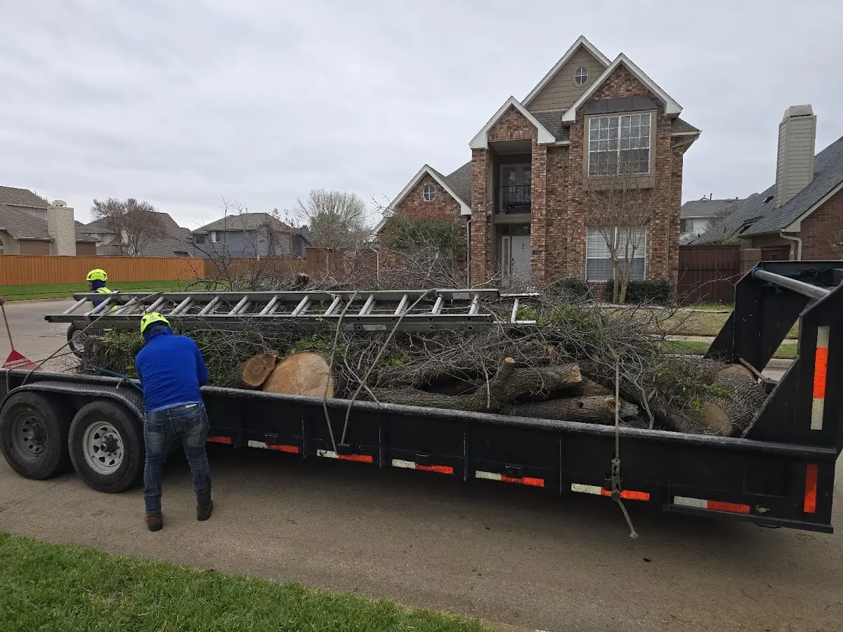 Expert Tree Removal with proper safety equipment in Pyatt